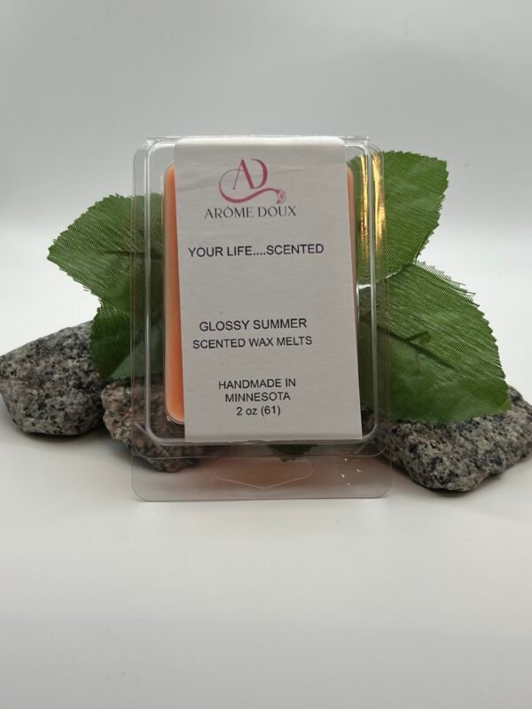 GLOSSY SUMMER WAX MELTS
