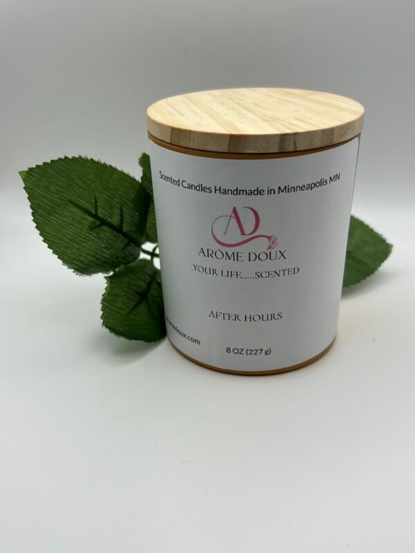 AFTER HOURS WICKLESS CANDLES (LUXE) - Image 2