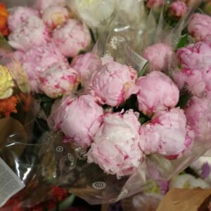 Captivating close-up of vibrant pink peony bouquets in a floral arrangement.