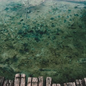 Serene view of clear, shallow water with a rustic wooden dock overhead.
